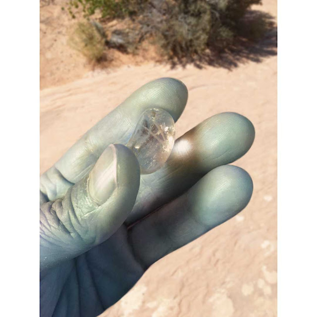 A photograph. Light shines brightly through a flecked crystal bean held by a blue-skinned, four-fingered alien hand with desert sand and desert brush in the background.