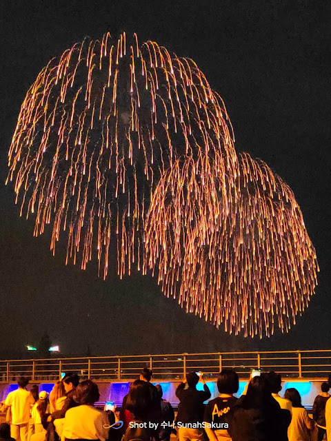 Tengok Busan Fireworks Festival 2023 dari Yongho Starlight Park, Nam-gu