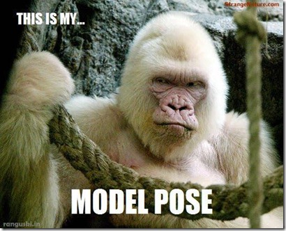 model