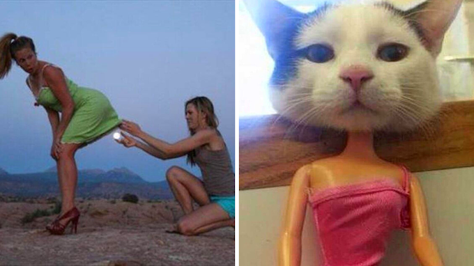 15 photographs with timing that could not have been more perfect