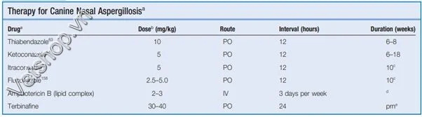 Hình 7: Bảng điều trị bệnh do nấm Aspergillus trên chó