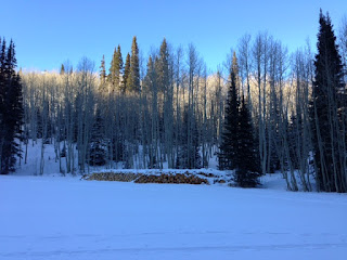 Snowshoeing in Montage Deer Valley - curiousadventurer.blogspot.com