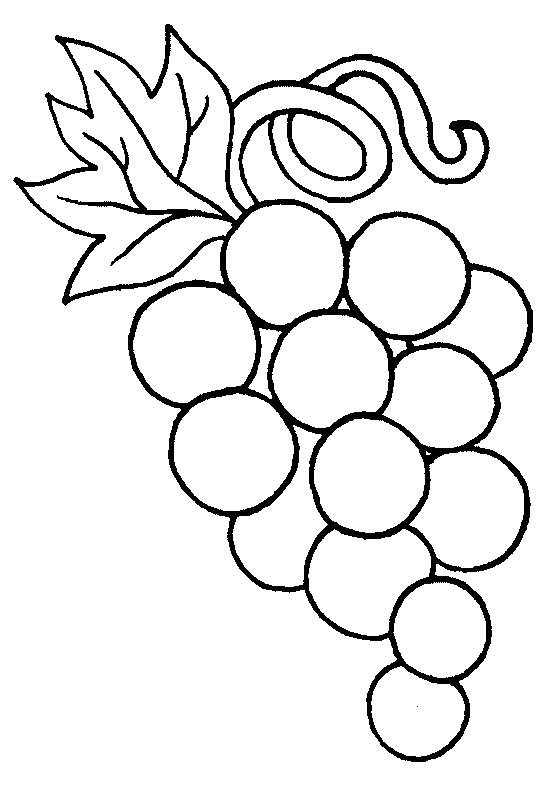 Download Free Grapes Coloring Pages