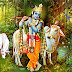Lord Krishna 22th Vishnu Avatar