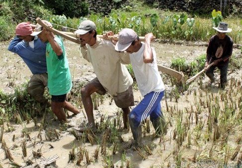  Alat  Pertanian Tradisional Yang Masih Digunakan di Indonesia