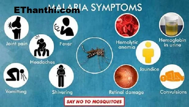 மலேரியாவுக்கு சிகிச்சை