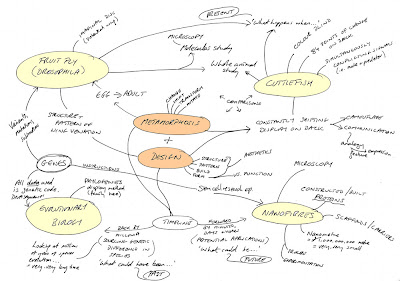 brainstorm illustration