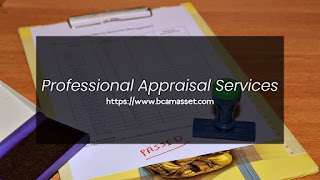 Professional Appraisal Services