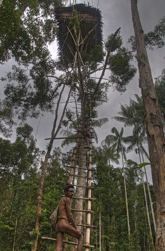 korowai-tree-house-7