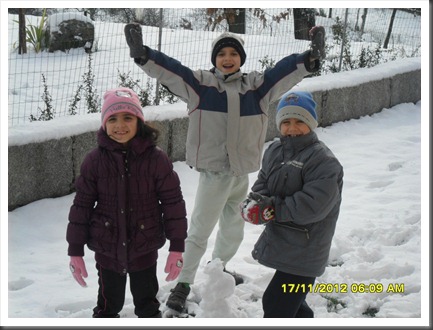 neve_manos