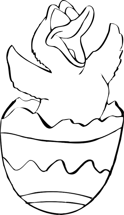 Chick Coloring Pages