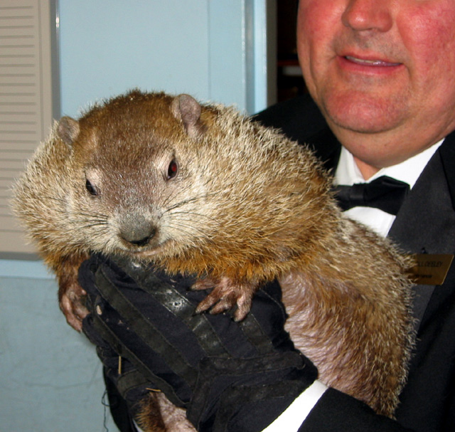 The detectives were off to PA to see if Punxsutawney Phil was going 