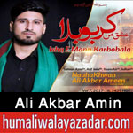 http://www.humaliwalayazadar.com/2015/04/ali-akbar-amin-nohay-2012-to-2016.html