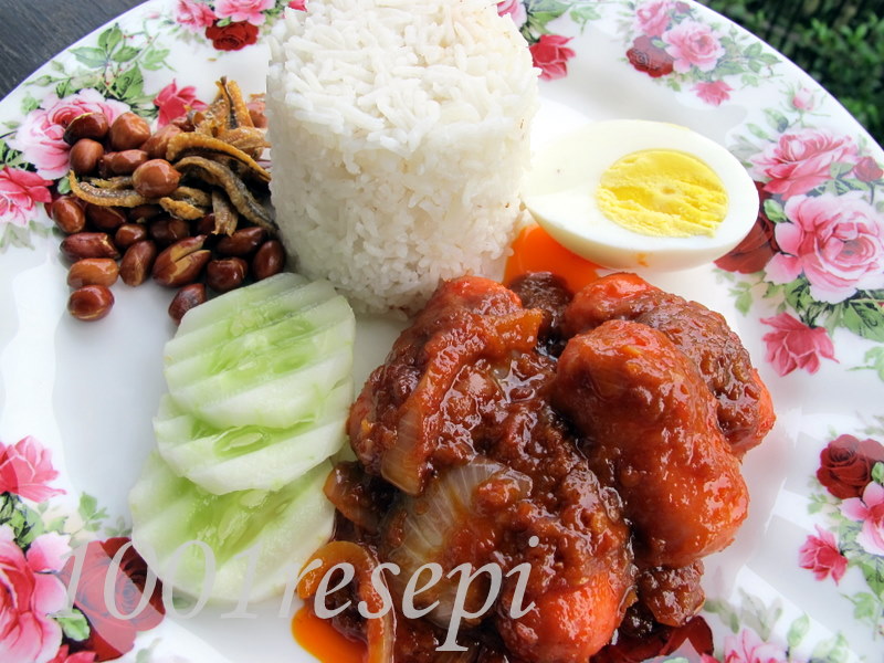 Resepi Nasi Ayam Kak Ida Kitchen - Crazy Madinsane