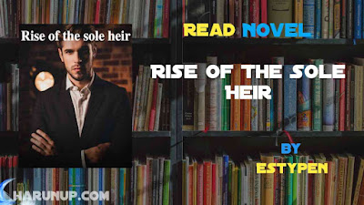 Read Rise Of The Sole Heir Novel Full Episode
