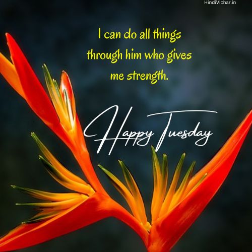 Happy Tuesday Positive Blessings