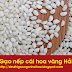 Gạo nếp cái hoa vàng tại Hải Hậu Nam Định