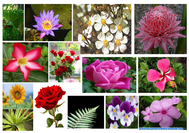 Gambar 3 Dimensi Tradisional - Druckerzubehr 77 Blog