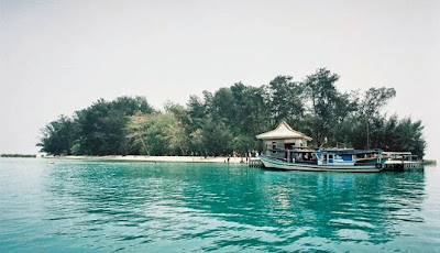 Hasil gambar untuk pulau semak daun