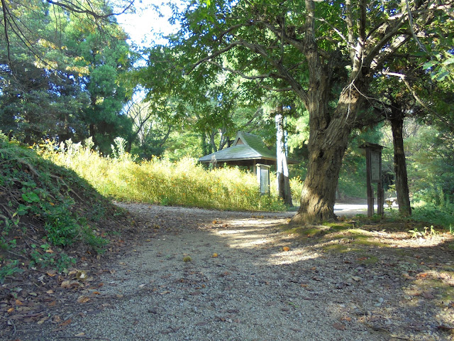 丘の上の伯耆古代の丘公園の遊歩道