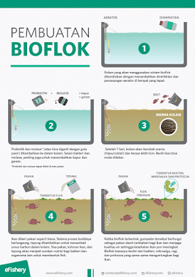 pengertian teknologi bioflok