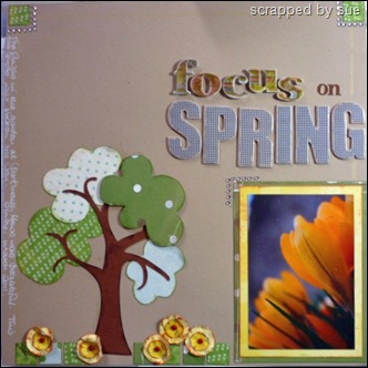 focus on spring