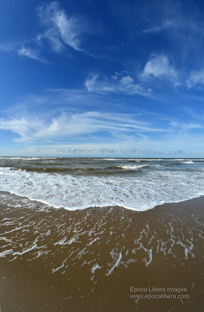 Beach of Dunes of Texel National Park, near De Koog village