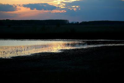 AREA LE MORETTE - TRAMONTO