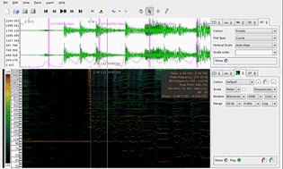 Sonic Visualiser