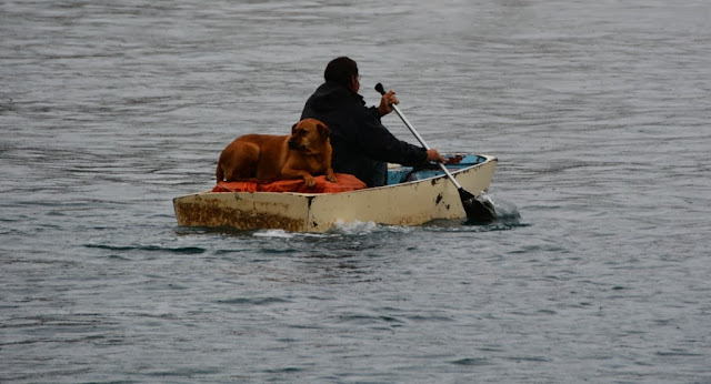 Villefranche sur Mer fishermen and his dog