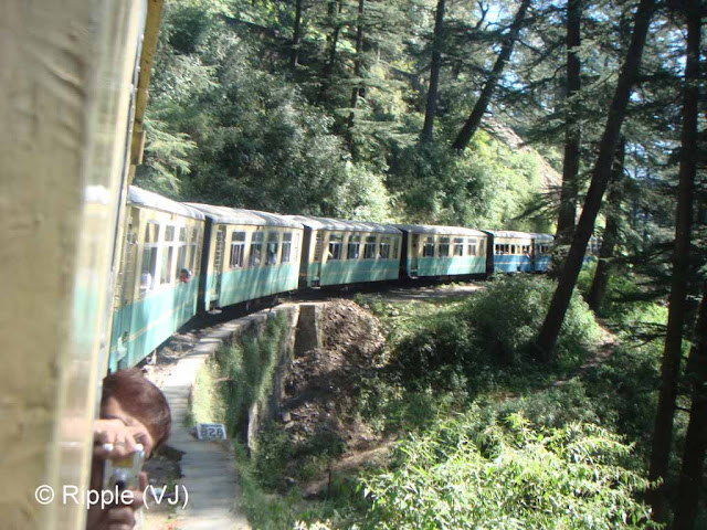 Posted by Ripple (VJ) : Main places to visit in Shimla Town: Kalka Simla Toy Train has about 7 coaches that can accommodate least 200 passengers in a single trip. The rail route indeed, possesses 107 tunnels but the train passes through 103 tunnels, big and small. The toy trains cross the longest tunnel at Barog in 3 minutes. Besides the Barog tunnel, other 3 big tunnels on this route are Koti - 2,276 feet, Taradevi - 1,615 feet and Tunnel no. 103 - 1,135 feet.