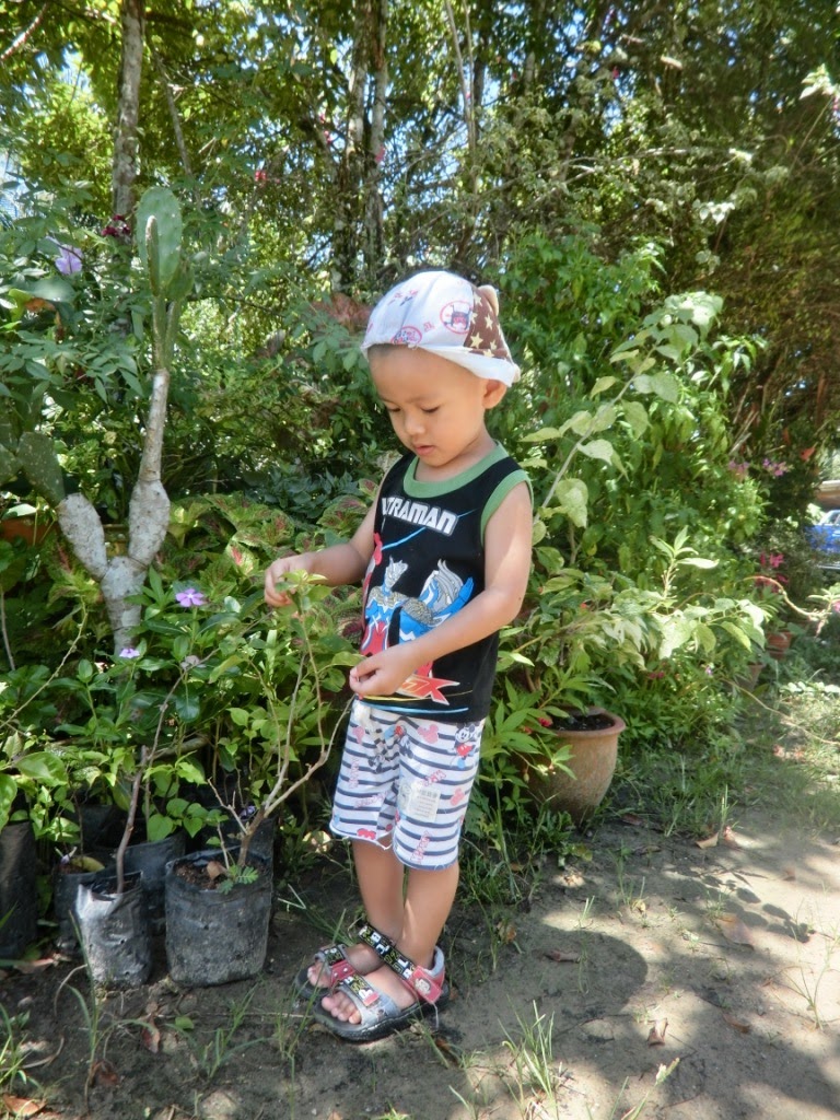 Didik anak kenali alam 'knowing the nature'