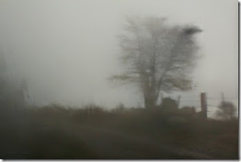 et toujours des essais de noir et blanc, mais derrière la vitre ....
