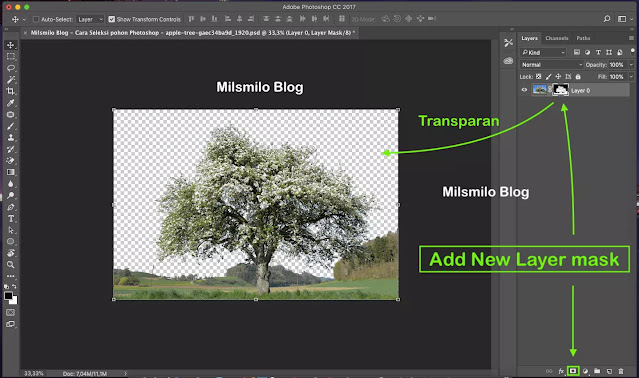 Cara seleksi objek gambar pohon di photoshop, seleksi pohon dengan photoshop, cara menyeleksi gambar dan foto di photoshop