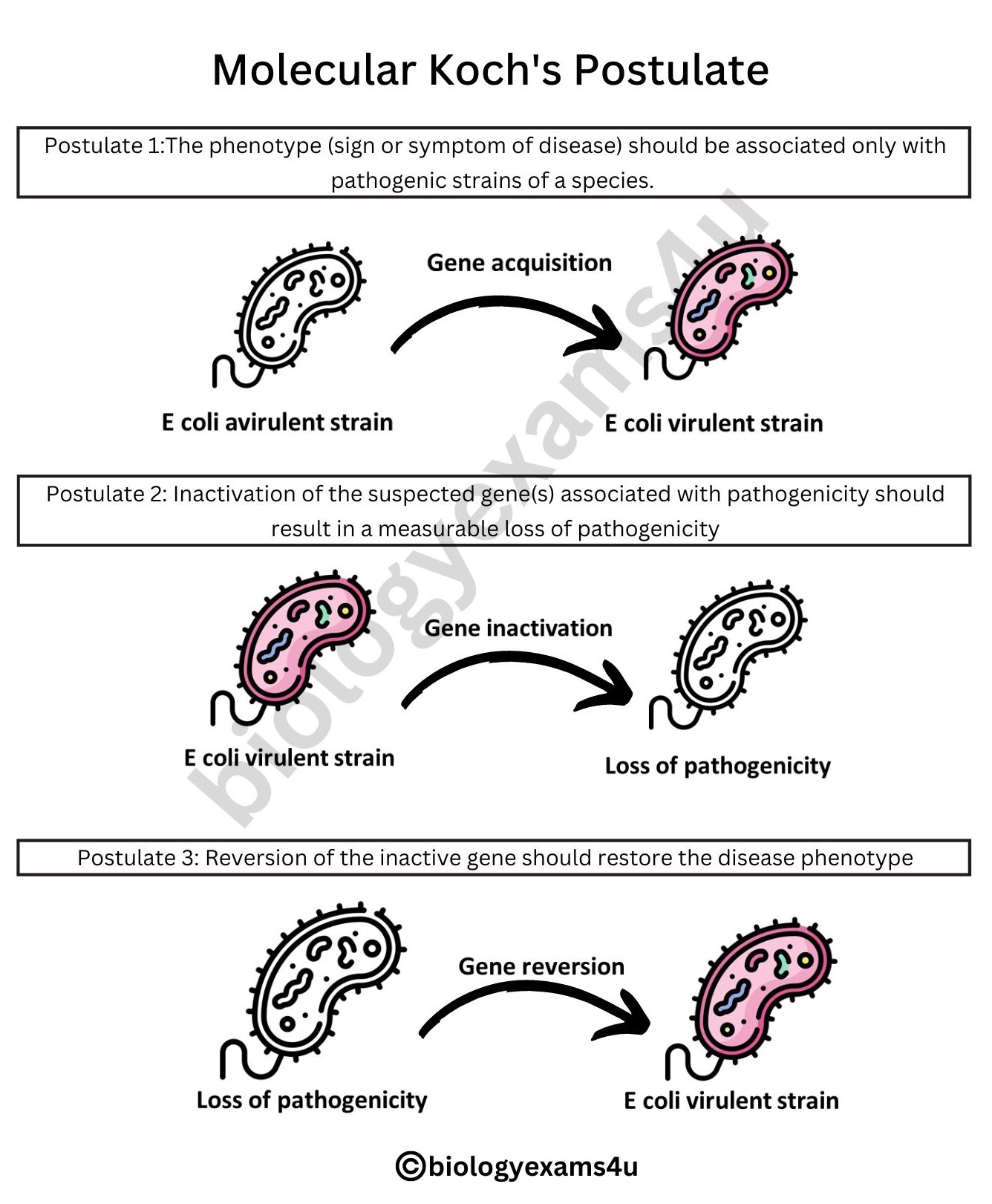 Molecular Koch's Postulates