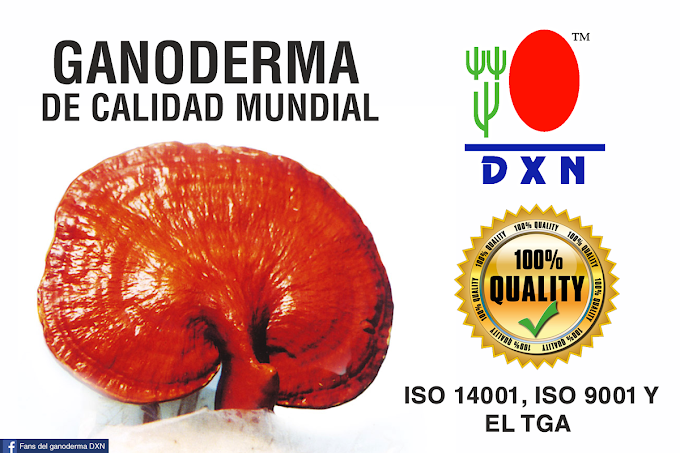 ¿POR QUE eligir el  REISHI de  DXN?