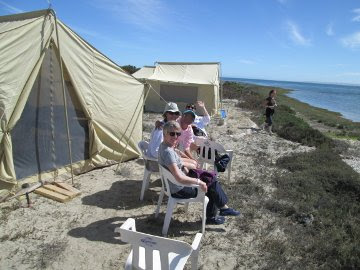 whale watching camp