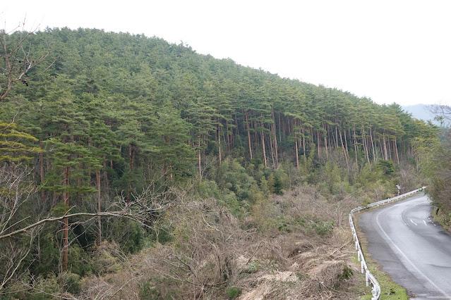 鳥取県米子市淀江町本宮 稲吉本宮線の農道からの眺め