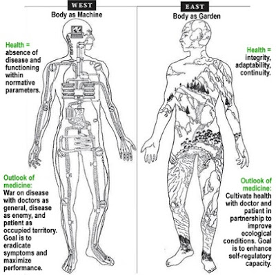 East-West Perspective - Chinese Medicine vs Western Medicine