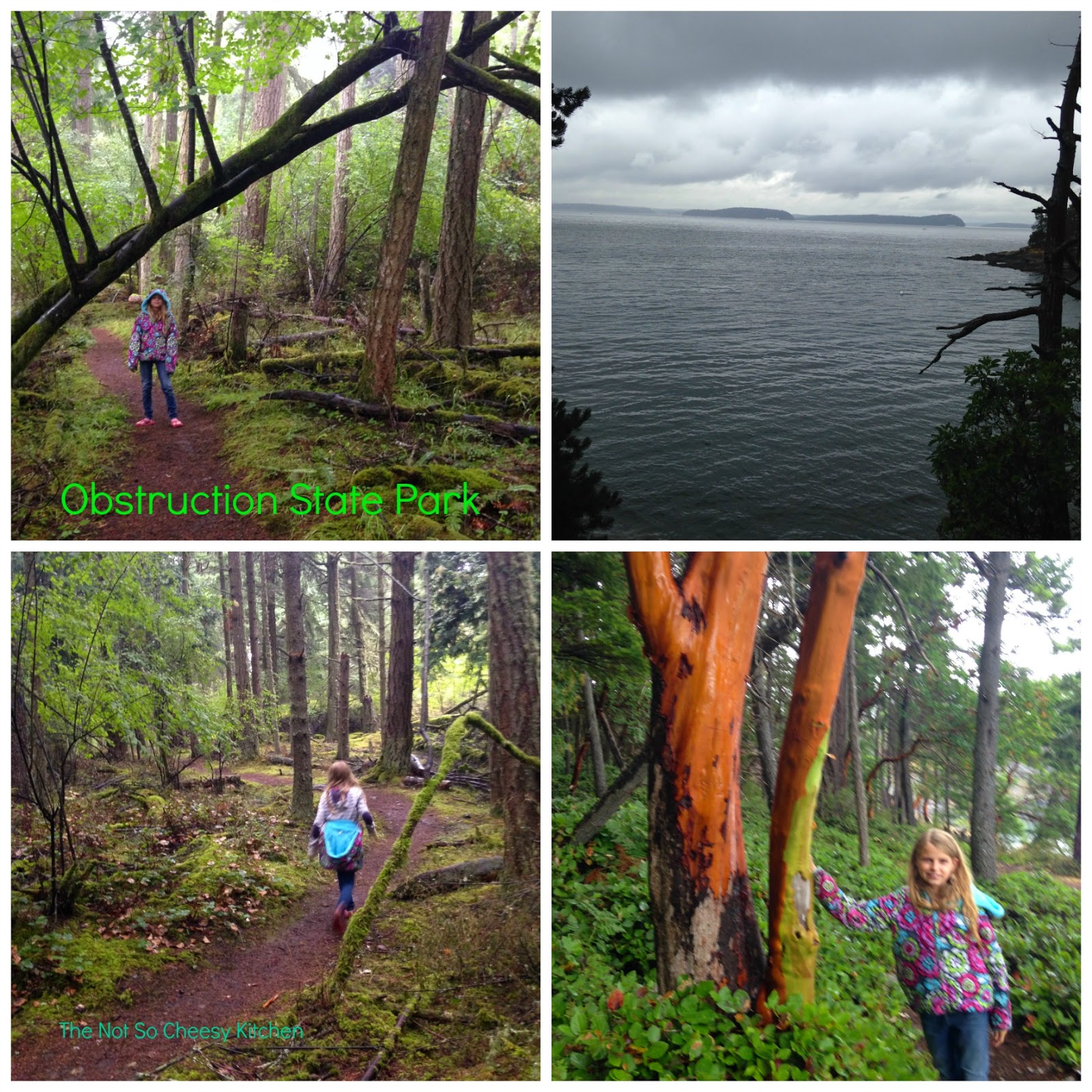 Orcas Island | The Not So Cheesy Kitchen