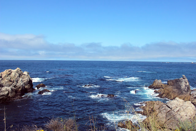 Point Lobos State Reserve, China Cove, nature photography