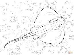 Cute Stingray Coloring Pages For Print Free Download