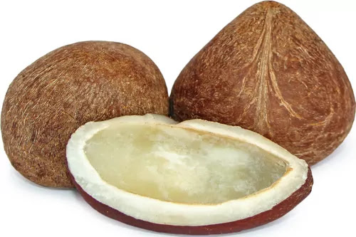 Coconut