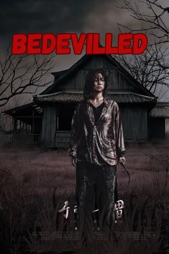 Bedevilled (2010) Korean Movie Hindi 