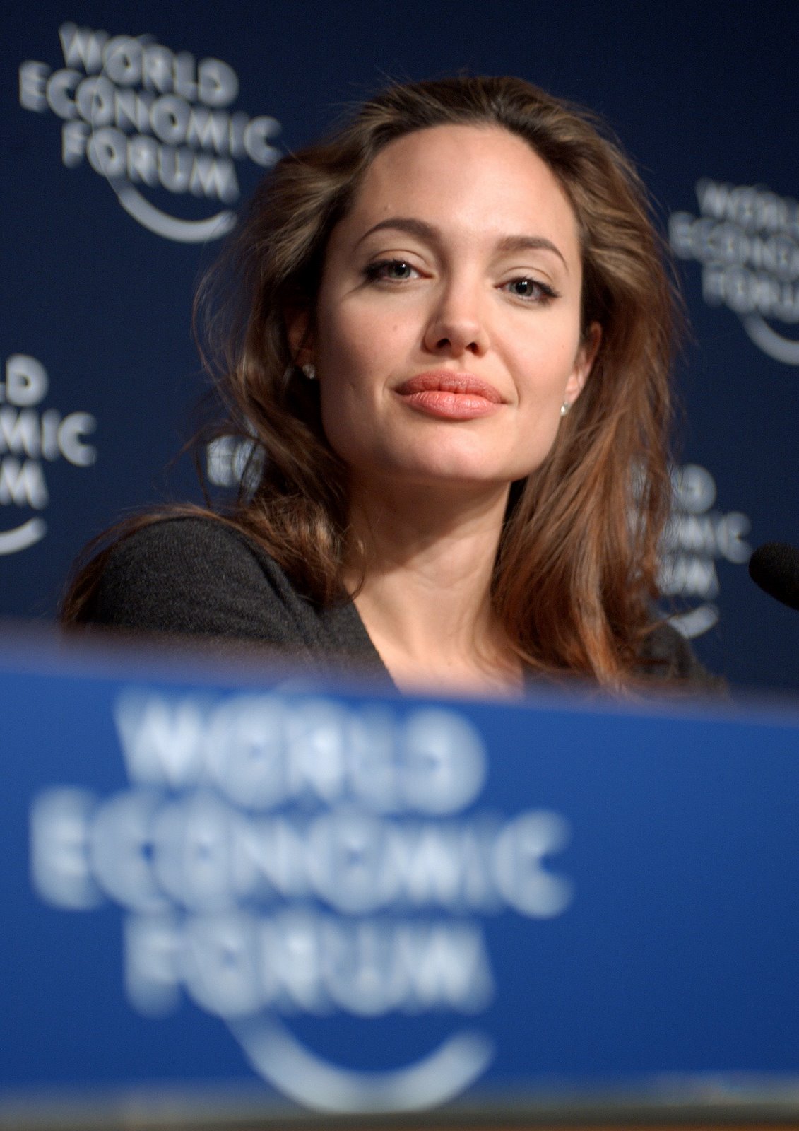 https://blogger.googleusercontent.com/img/b/R29vZ2xl/AVvXsEhQBQIvTCg-u6jsYaa8qra6burUUQxWb3yrMDaFugOz3oDohuNjtJa9FBXQRzPdoUdlSFPwWd8CEJUAGPg98YdZn72jZHVhh6UbWCvxa2xoA08qyBzwT5wDc7fl8wznGAVnXppETAy-rN3A/s1600/Angelina_Jolie_at_Davos.jpg