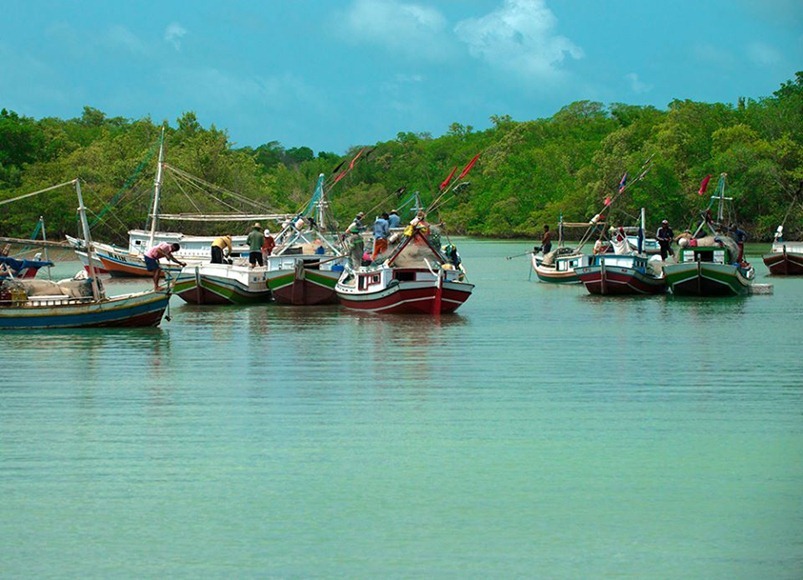 Cururupu - Maranhao, foto: pagina Facebook ufficiale