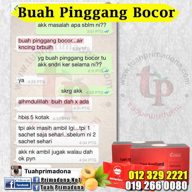 Testimoni buah pinggang bocor sari agegard