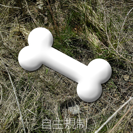 なんかの骨