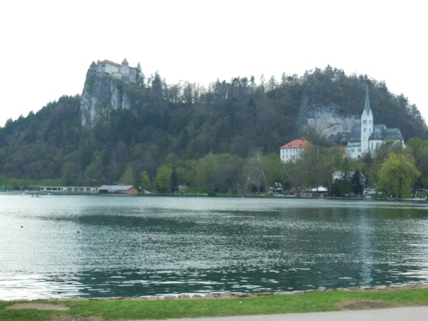 DSCN0231