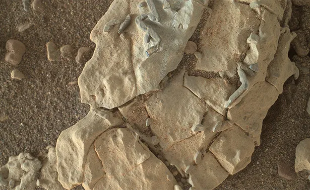 On Mars have found strange “bacilliform” formations